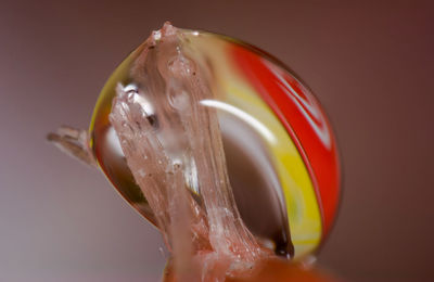 Close up of water drop