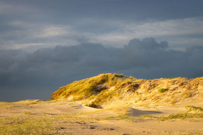 Scenic view of north swan dunes against sky