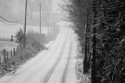 Road amidst bare trees during winter