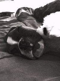 Extreme close up of sandy beach