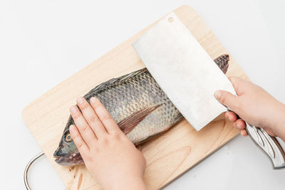 High angle view of woman holding hands over white background