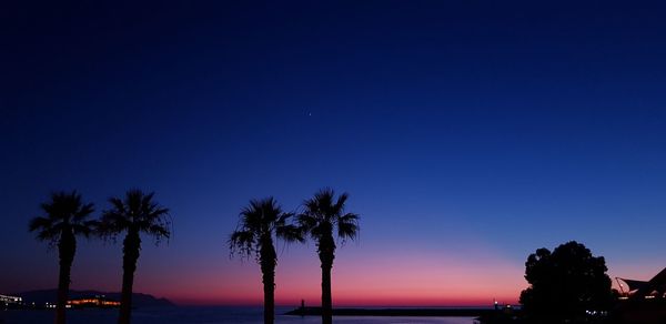 Silhouette palm trees against blue sky during sunset