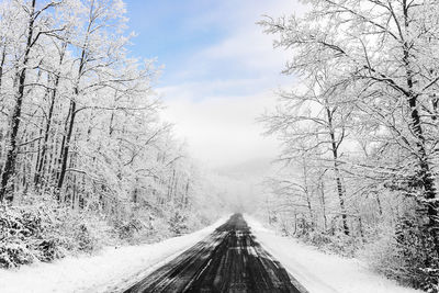 Road amidst trees against sky during winter