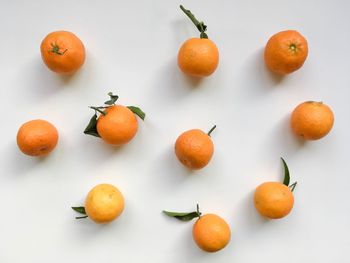 High angle view of orange and fruits on white background