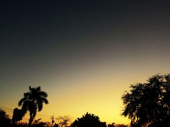 Low angle view of silhouette trees against sky at sunset