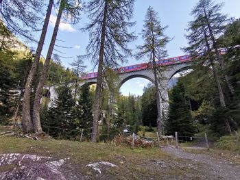 Low angle view of arch bridge against sky