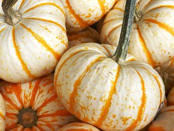 Full frame shot of pumpkins