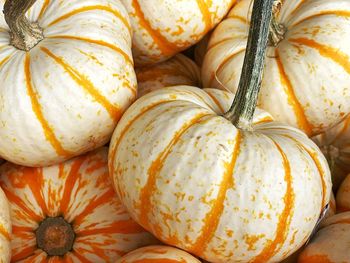 Full frame shot of pumpkins