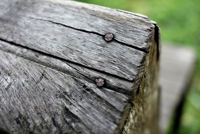 Close-up of wooden plank