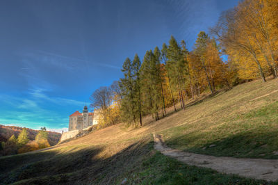 Road amidst trees against sky during autumn