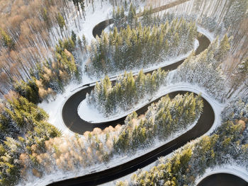 High angle view of car on road by trees