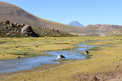 Scenic view of landscape against clear sky