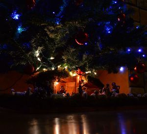 Illuminated trees against sky at night
