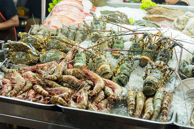 High angle view of seafood on crushed ice