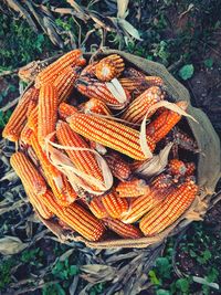Yellow corn for animal feed.