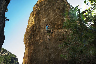 Low angle view of person on rock against trees