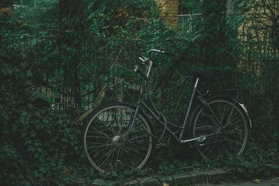 Bicycle leaning on fence by plants