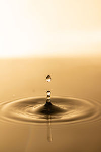 Close-up of water drop