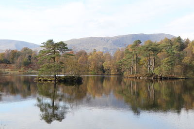 Reflection of trees in lake against sky