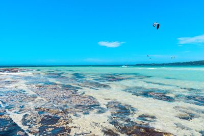 Scenic view of sea against clear blue sky