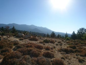 Scenic view of landscape against clear sky