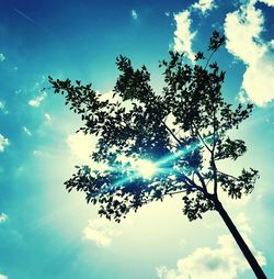 Low angle view of silhouette tree against sky