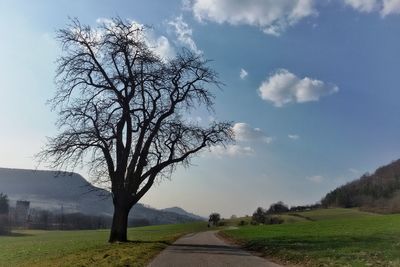 Road amidst bare trees on field against sky