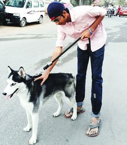 Young man patting siberian husky on street in city