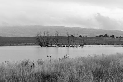 Scenic view of lake against sky