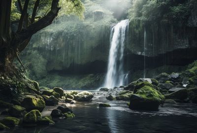 Scenic view of waterfall in forest