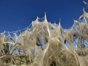 Close-up low angle view of blue sky