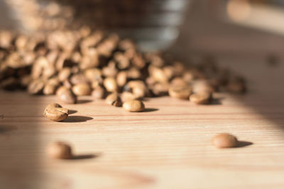 Close-up of shells on table