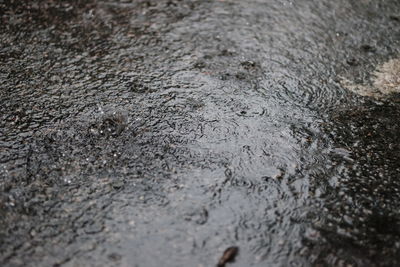 Full frame shot of raindrops on road