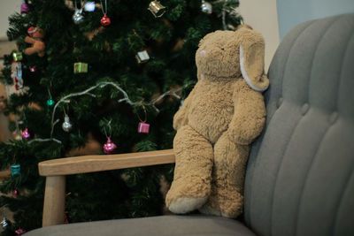 View of stuffed toy on tree