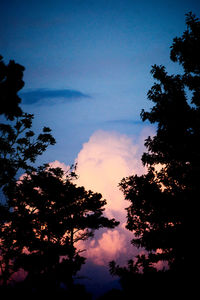 Low angle view of silhouette trees against sky at sunset