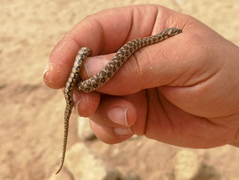 Close-up of hand holding sand