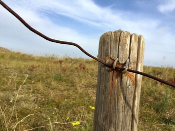 Close-up of fence on grassy field