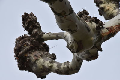 Low angle view of statue against sky