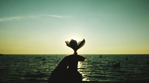 Cropped hand of woman holding flower against sea and sky during sunset