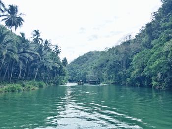 Scenic view of lake in forest against sky