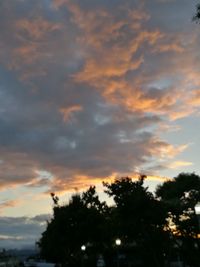 Low angle view of silhouette trees against sky at sunset