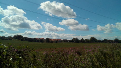 Scenic view of field against sky