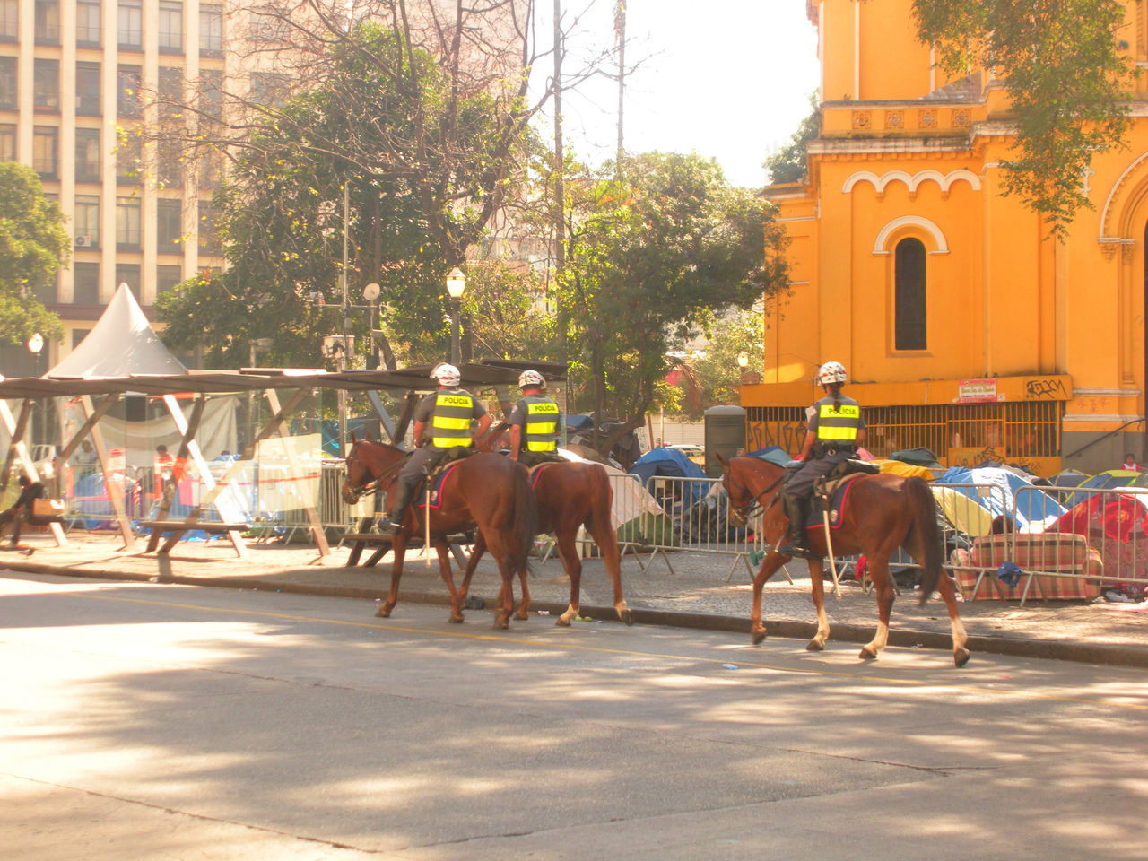 HORSES IN THE CITY