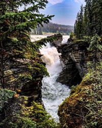 Scenic view of waterfall in forest