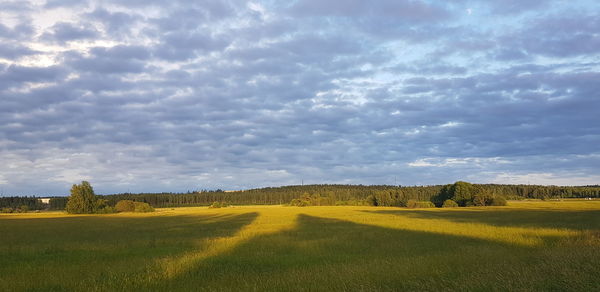 Scenic view of field against sky