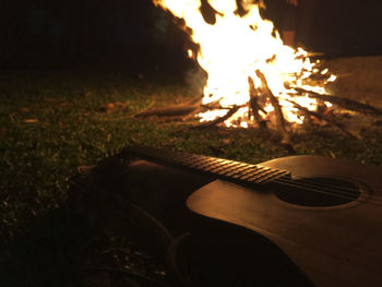 Close-up of leaf at night