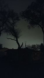 Silhouette of man by tree against sky at night