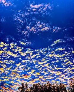 Low angle view of trees against blue sky