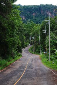 Empty road amidst trees