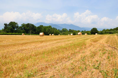 Hay bales on field against sky